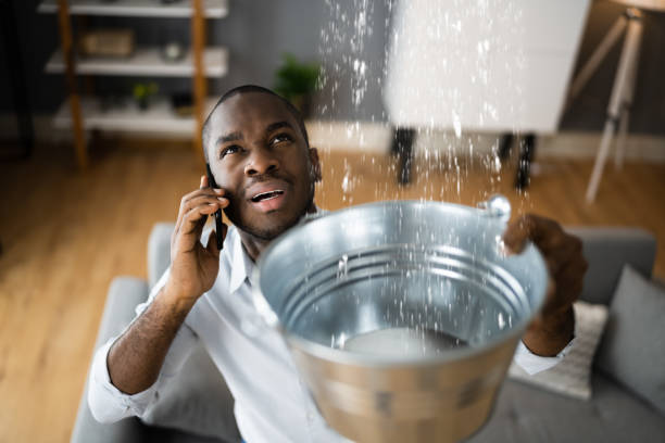 Best Flood restoration services  in Chewelah, WA