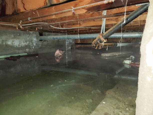 Best Local water damage restoration  in Chewelah, WA