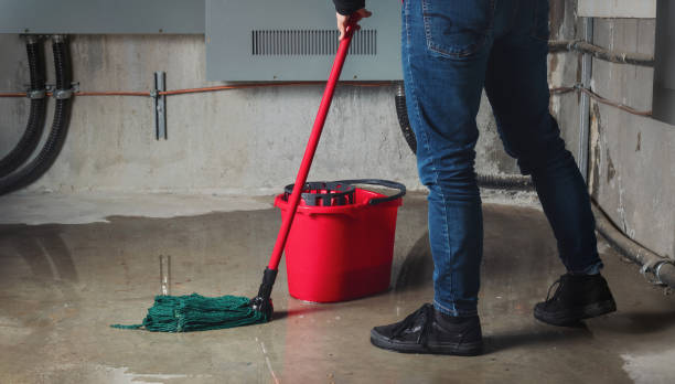 Best Ceiling water damage repair  in Chewelah, WA