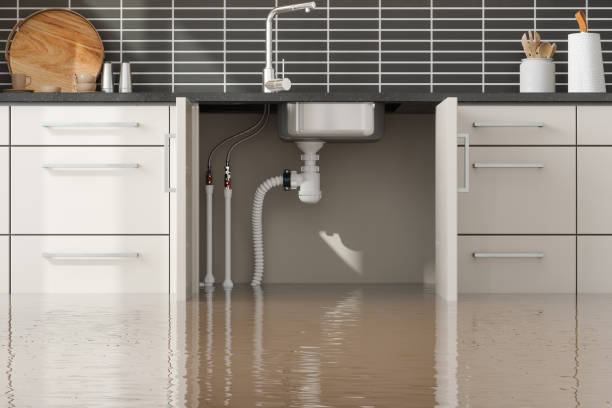 Best Water damage restoration cost  in Chewelah, WA