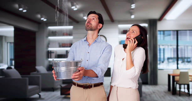 Best Basement water damage restoration  in Chewelah, WA